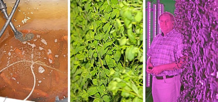 Klimatsmart odlingsmetod ger klirr i kassan