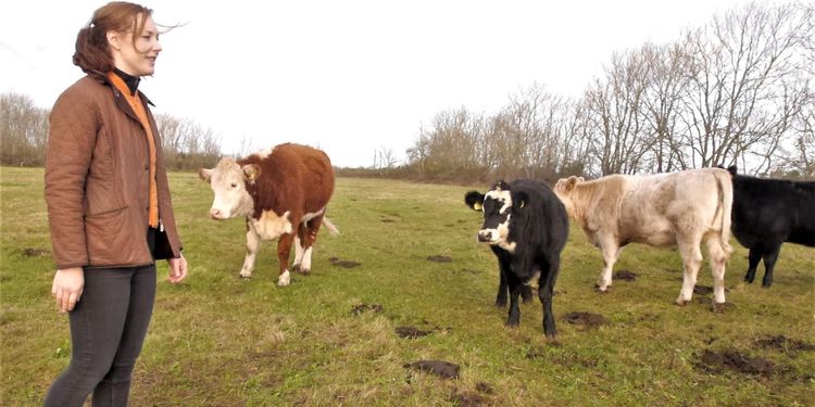 Foderbristen tvingar henne att slakta djur