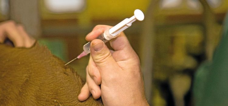 Jordbruksverket risas för foderförsäljning