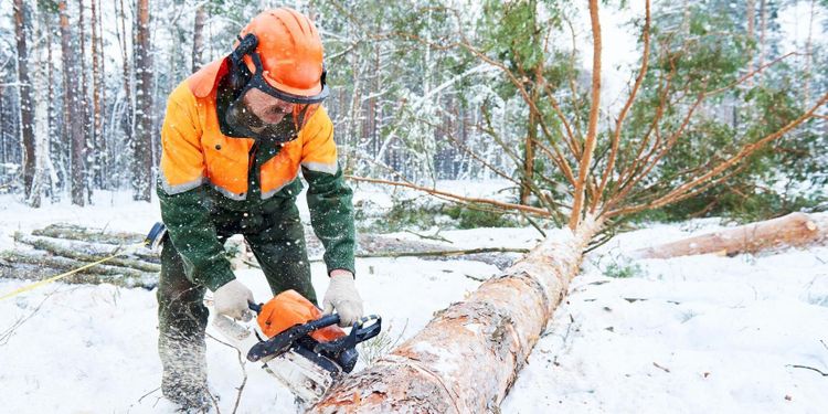 Så jobbar bolagen mot machokulturen i skogen