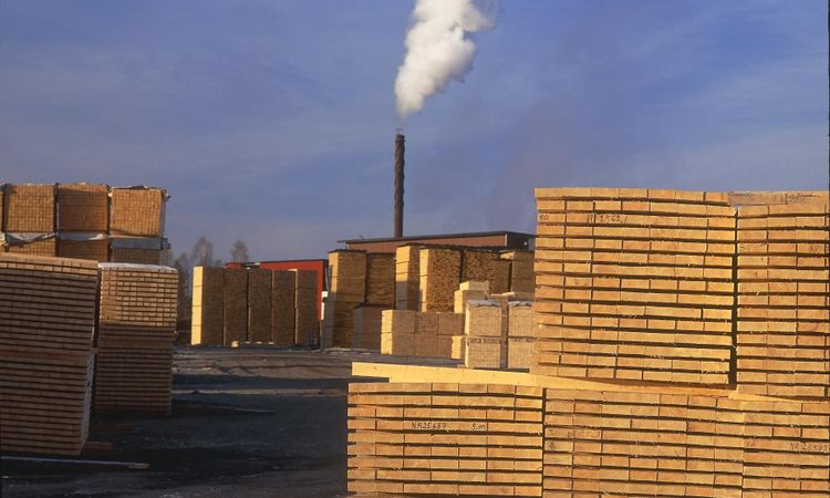 Allt sämre lönsamhet för flera sågverk