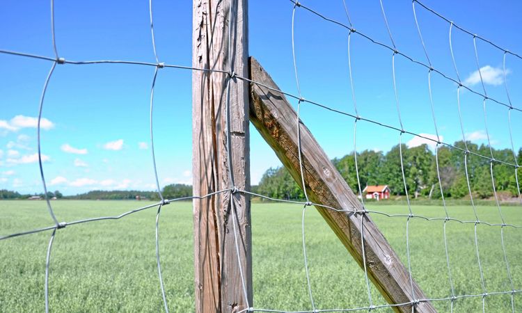 Banker ger djurägare bidrag för att stängsla