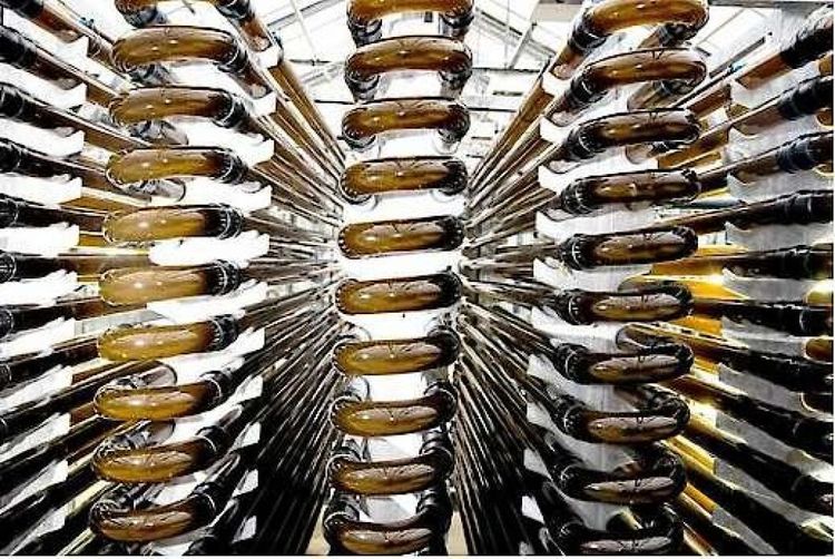 Så länge räcker pengarna för Simris Alg