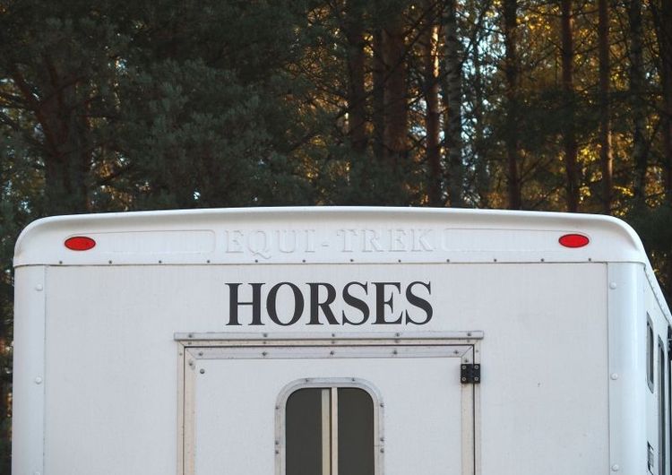 Hästlastbilar av den nya typen berörs av domen i Kammarrätten och som kan bli prejudicerande.