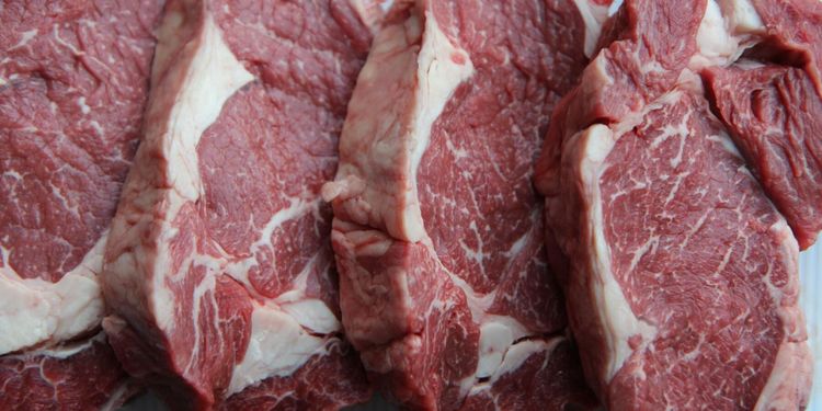 Butikskedjorna hoppas på kötthöst