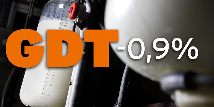 Global Dairy Trade: Fortsatt röda siffror