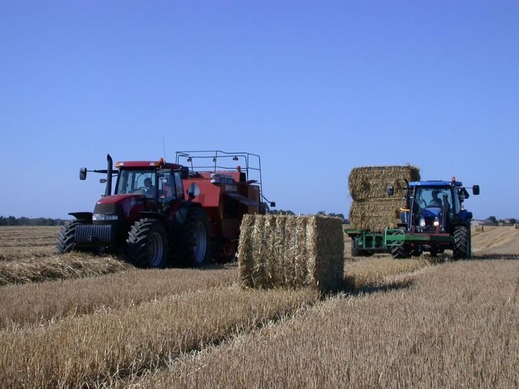 Halmskörden bortom räddning i norr