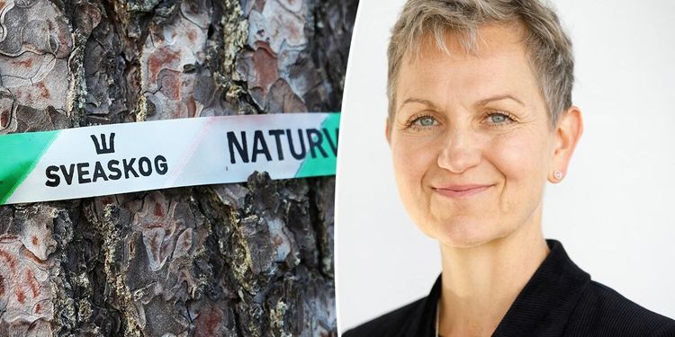 ”Styrelsen tror inte jag kan implementera strategin”