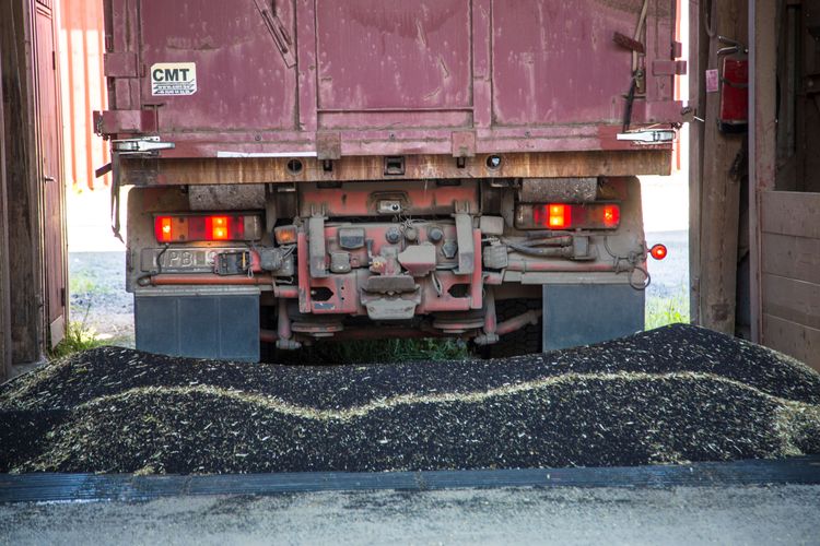 Kan det gå att köra lika effektivt med raps i tanken diskuteras på Borgeby.