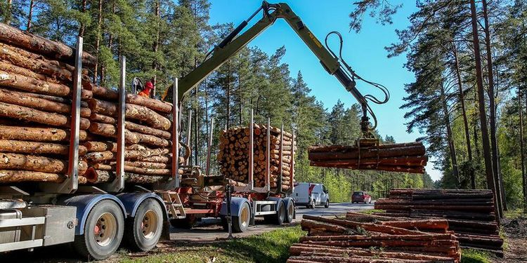 Riksdagen gör tummen ner för upplagsavgift