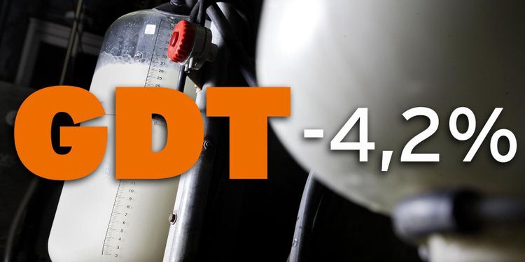 Priset för mjölkpulver rasar