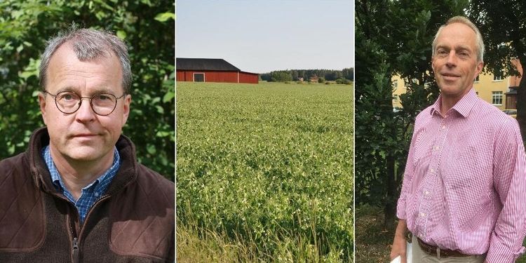 Mäklare: ”Fullkomliga rekordpriser under våren”