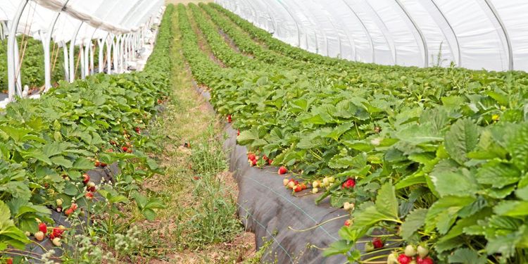 Branschutbildning för arbetslösa stoppas