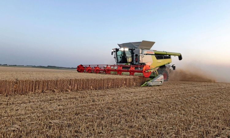 Här är Claas nya högkapacitetströskor