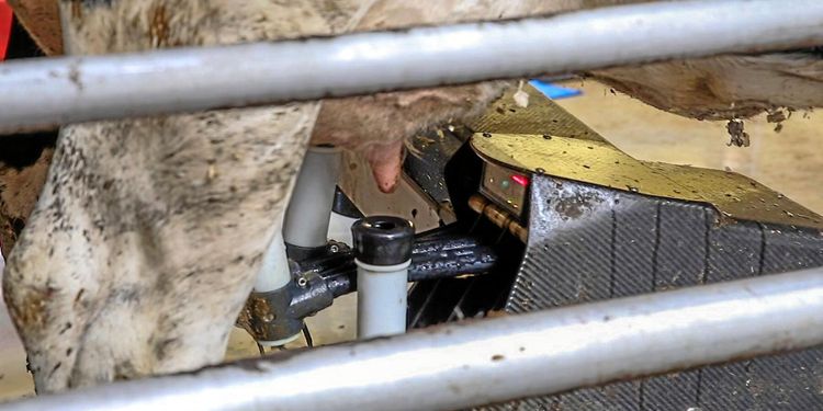 De var först med robot