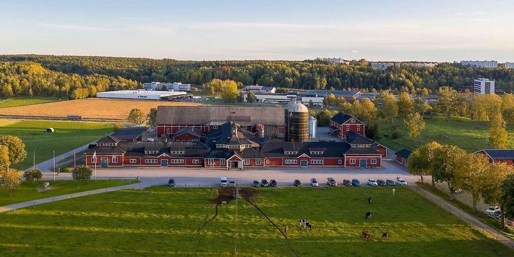 Dubbelt så många kor hos De Laval