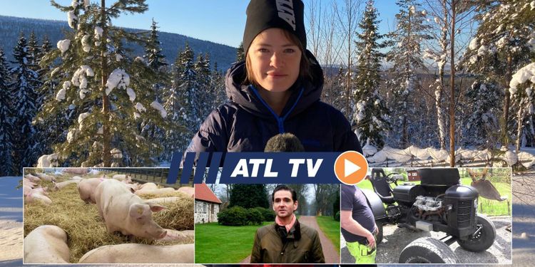 ATL TV: Grisgården byggde fläskomat