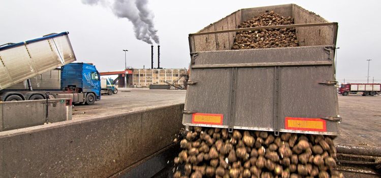 Oro för sen betkampanj