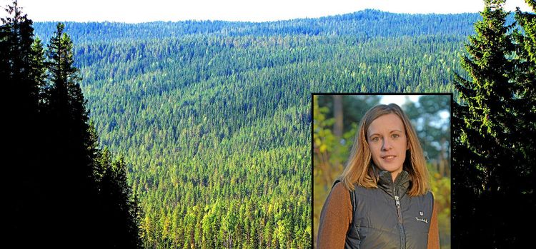 Är vi på väg mot miljösocialism?