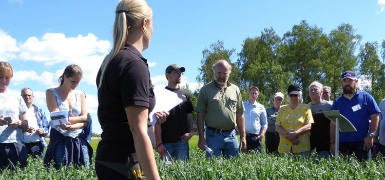 Oberoende råd är nödvändigt