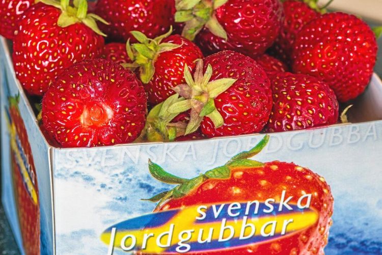 Dubbla budskap om svenskt från offentliga kök