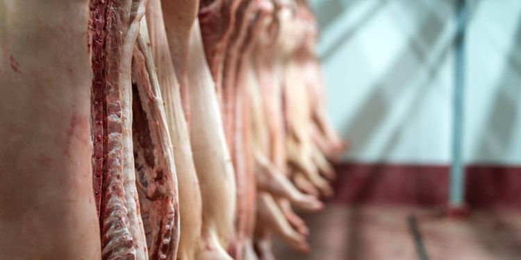 Beslutet om avgifter för slakterier försenas