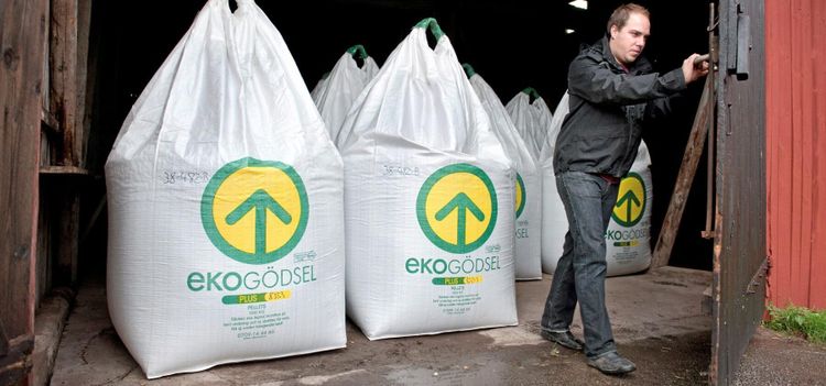 Krav står fast vid regler – inga lättnader för odlare