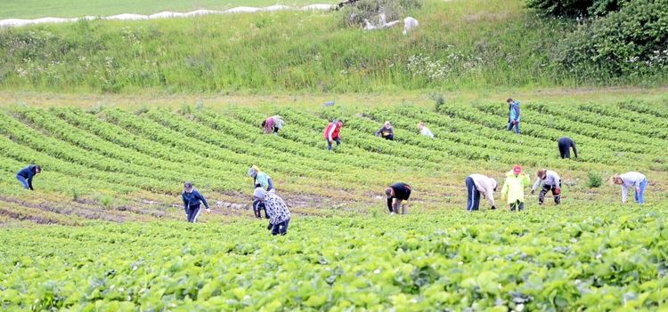 Bästa tipsen för att skydda sommarpersonalen
