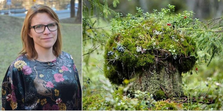 Förslag om frivilliga avsättningar möter kritik