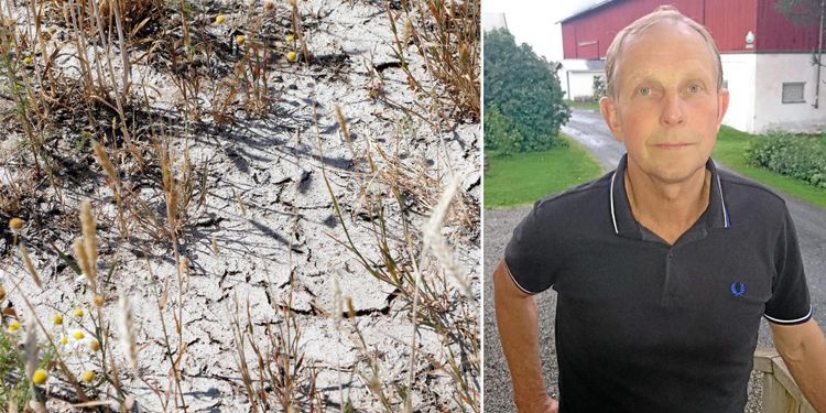 Krispaket löser inte den jordbrukspolitiska förlamningen