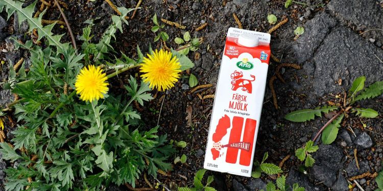 Arla höjer mjölkpriset - igen