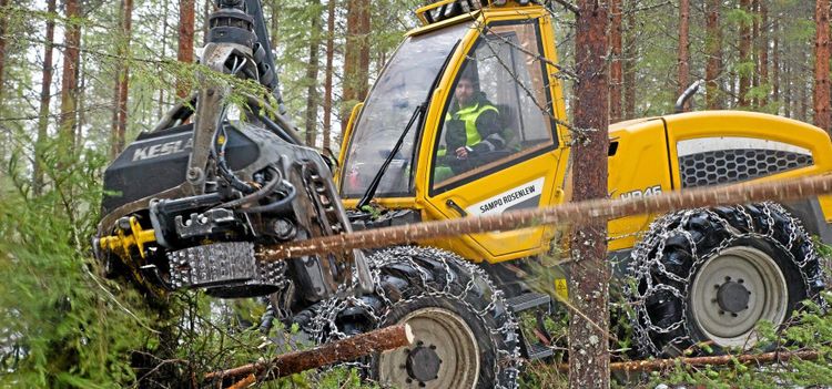 Så mycket har snön bromsat i skogen