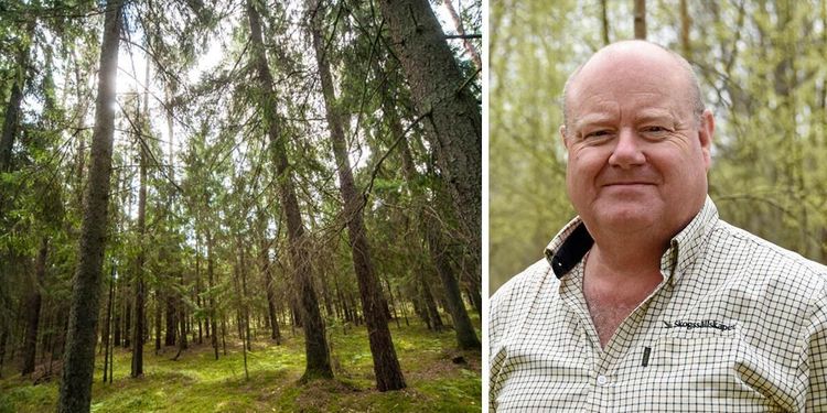 Ny lag skapar turbulens i litauisk skog