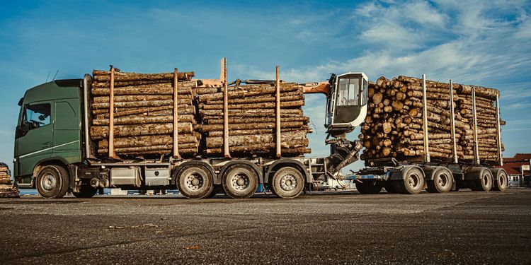 Regeringen vill strama upp kontrollen av yrkestrafik