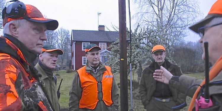 Uppropet till jägarna: Skjut vildsvin!