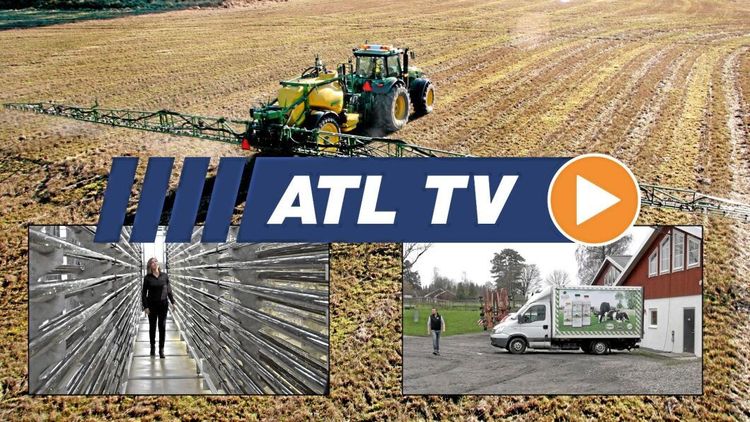 ATL TV: Så gick det för gårdsmejeriet