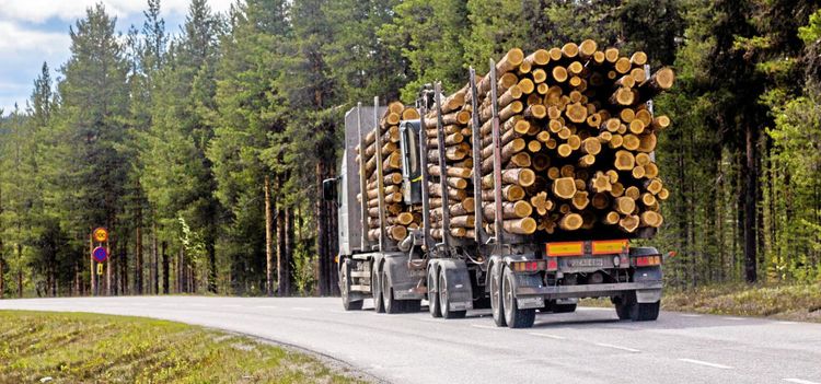 Maktkampen om Bergvik