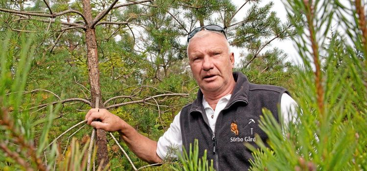 Skogsägaren: "Vi går mot katastrof här"