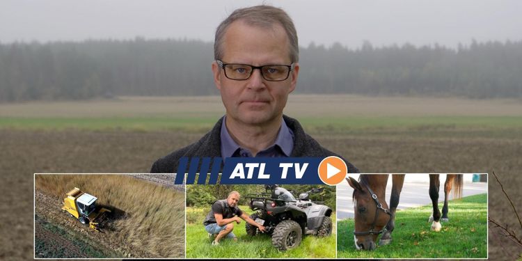 ATL TV: Här skördas kernza