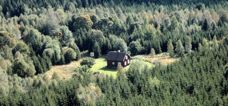 Så lönsamma är Sveriges skogsgårdar