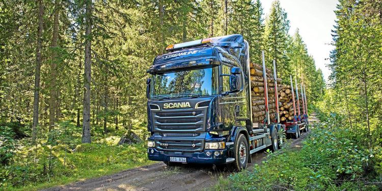 Ökade kostnader urholkar skogsbrukets lönsamhet