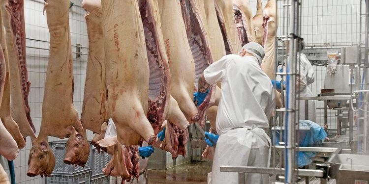 Filippinerna köper svensk svål