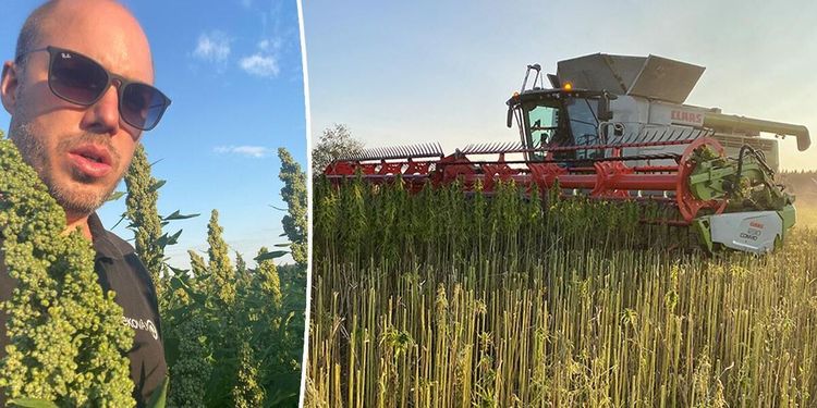 Växtodlaren som vill hitta framtidens grödor