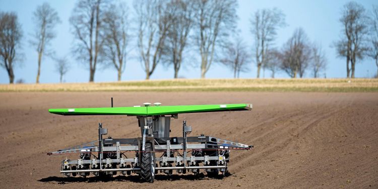 Störst intresse från ekoodlare