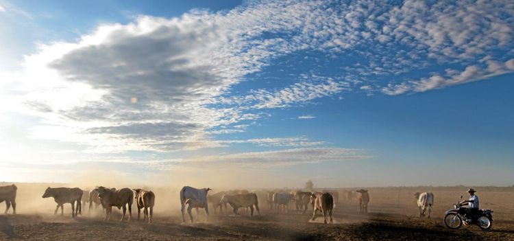 De köper jordbruksmark i Australien