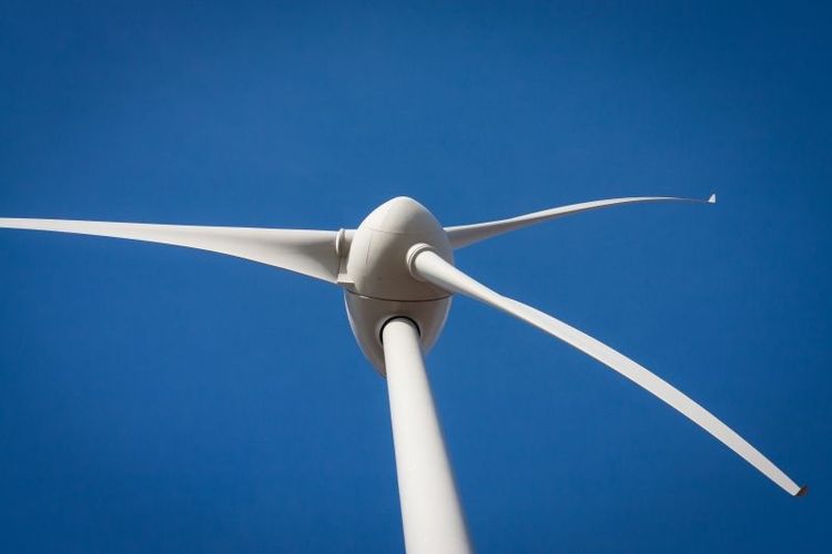 Före jul låg buden på 12-13 miljoner, efter det sjönk dagsvärdet.