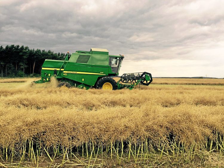 Nytt nej till neonikotinoider