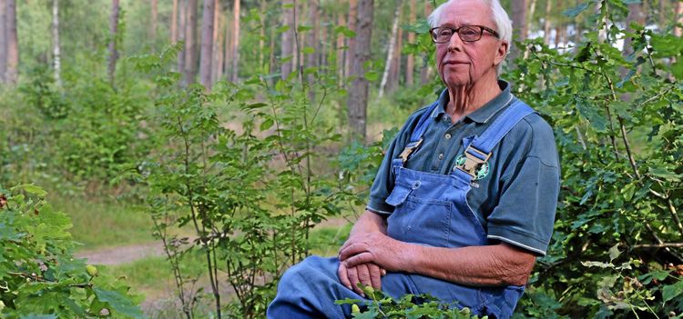 Vänta med att hugga – och tjäna mer