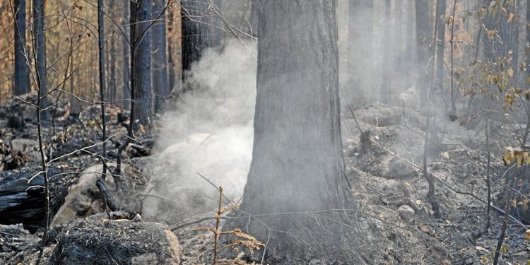 Bränder och skadegörare dyrt för försäkringsbolag