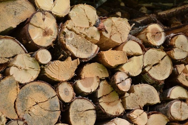 Brexit drabbar skogen